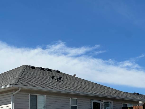 Best Emergency Roof Repair Services  in North Hartsville, SC